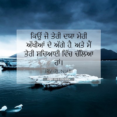 Picture 07 - ਜ਼ਬੂਰ 26:3 PANIRV - ਕਿਉਂ ਜੋ ਤੇਰੀ ਦਯਾ - Bible Verse Picture