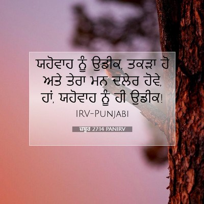 Picture 07 - ਜ਼ਬੂਰ 27:14 PANIRV - ਯਹੋਵਾਹ ਨੂੰ ਉਡੀਕ, - Bible Verse Picture