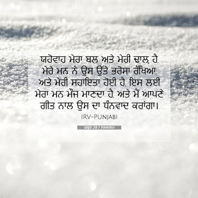 Picture 07 - ਜ਼ਬੂਰ 28:7 PANIRV - ਯਹੋਵਾਹ ਮੇਰਾ ਬਲ ਅਤੇ - Bible Verse Picture