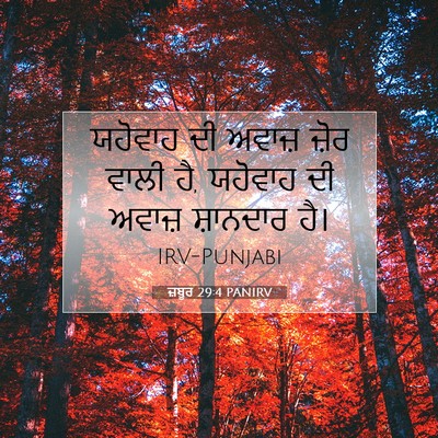 Picture 07 - ਜ਼ਬੂਰ 29:4 PANIRV - ਯਹੋਵਾਹ ਦੀ ਅਵਾਜ਼ - Bible Verse Picture