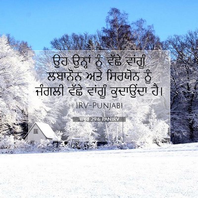 Picture 07 - ਜ਼ਬੂਰ 29:6 PANIRV - ਉਹ ਉਨ੍ਹਾਂ ਨੂੰ ਵੱਛੇ - Bible Verse Picture