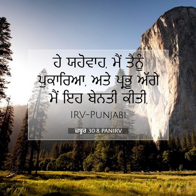 Picture 07 - ਜ਼ਬੂਰ 30:8 PANIRV - ਹੇ ਯਹੋਵਾਹ, ਮੈਂ - Bible Verse Picture