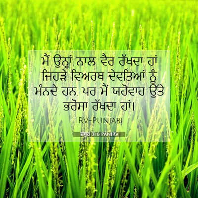 Picture 07 - ਜ਼ਬੂਰ 31:6 PANIRV - ਮੈਂ ਉਨ੍ਹਾਂ ਨਾਲ ਵੈਰ - Bible Verse Picture