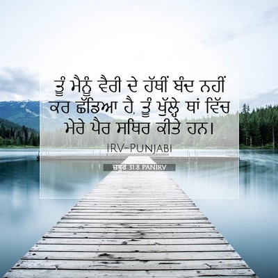 Picture 07 - ਜ਼ਬੂਰ 31:8 PANIRV - ਤੂੰ ਮੈਨੂੰ ਵੈਰੀ ਦੇ - Bible Verse Picture