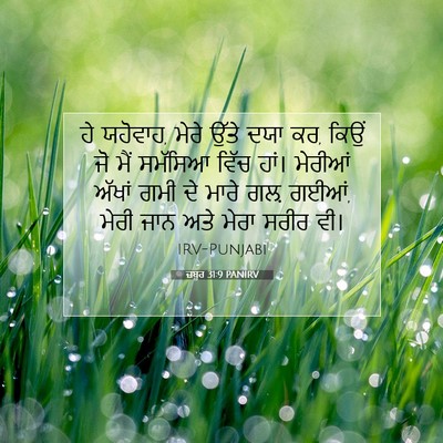 Picture 07 - ਜ਼ਬੂਰ 31:9 PANIRV - ਹੇ ਯਹੋਵਾਹ, ਮੇਰੇ - Bible Verse Picture
