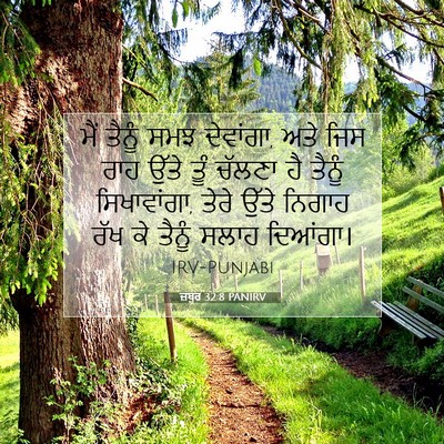 Picture 07 - ਜ਼ਬੂਰ 32:8 PANIRV - ਮੈਂ ਤੈਨੂੰ ਸਮਝ - Bible Verse Picture