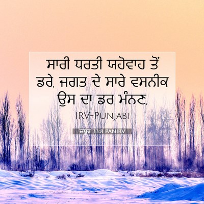 Picture 07 - ਜ਼ਬੂਰ 33:8 PANIRV - ਸਾਰੀ ਧਰਤੀ ਯਹੋਵਾਹ - Bible Verse Picture