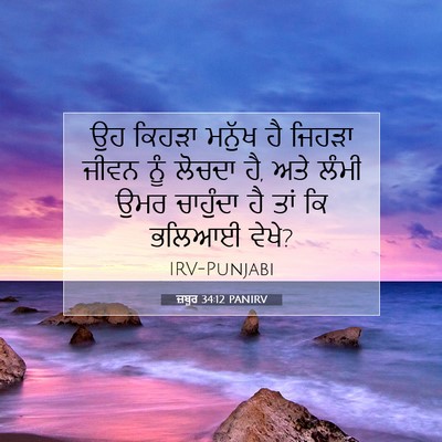 Picture 07 - ਜ਼ਬੂਰ 34:12 PANIRV - ਉਹ ਕਿਹੜਾ ਮਨੁੱਖ ਹੈ - Bible Verse Picture