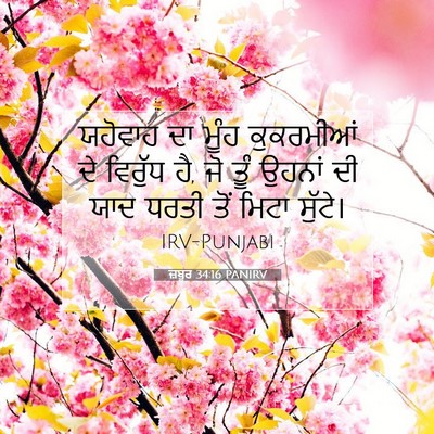 Picture 07 - ਜ਼ਬੂਰ 34:16 PANIRV - ਯਹੋਵਾਹ ਦਾ ਮੂੰਹ - Bible Verse Picture