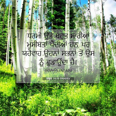 Picture 07 - ਜ਼ਬੂਰ 34:19 PANIRV - ਧਰਮੀ ਉੱਤੇ ਬਹੁਤ - Bible Verse Picture