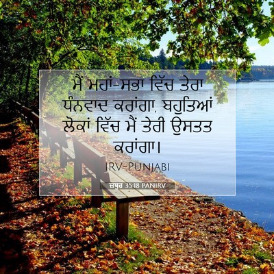 Picture 07 - ਜ਼ਬੂਰ 35:18 PANIRV - ਮੈਂ ਮਹਾਂ-ਸਭਾ ਵਿੱਚ - Bible Verse Picture