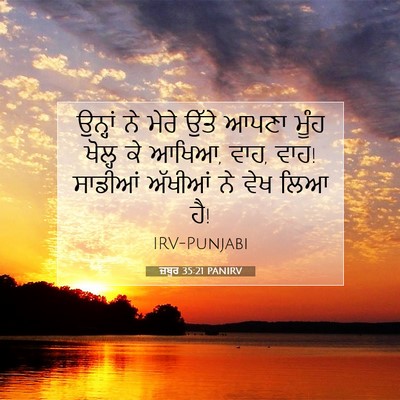 Picture 07 - ਜ਼ਬੂਰ 35:21 PANIRV - ਉਨ੍ਹਾਂ ਨੇ ਮੇਰੇ - Bible Verse Picture