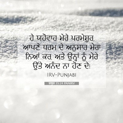 Picture 07 - ਜ਼ਬੂਰ 35:24 PANIRV - ਹੇ ਯਹੋਵਾਹ ਮੇਰੇ - Bible Verse Picture