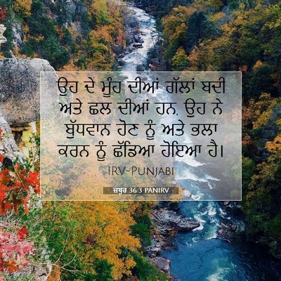 Picture 07 - ਜ਼ਬੂਰ 36:3 PANIRV - ਉਹ ਦੇ ਮੂੰਹ ਦੀਆਂ - Bible Verse Picture