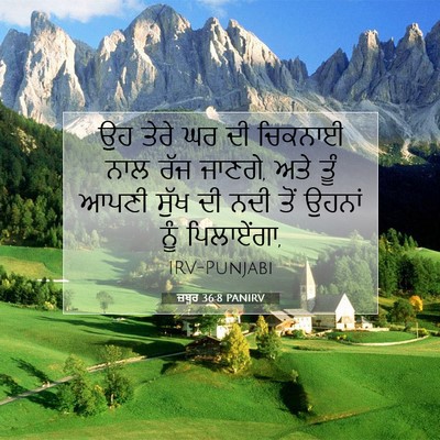 Picture 07 - ਜ਼ਬੂਰ 36:8 PANIRV - ਉਹ ਤੇਰੇ ਘਰ ਦੀ - Bible Verse Picture
