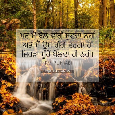 Picture 07 - ਜ਼ਬੂਰ 38:13 PANIRV - ਪਰ ਮੈਂ ਬੋਲੇ ਵਾਂਗੂੰ - Bible Verse Picture
