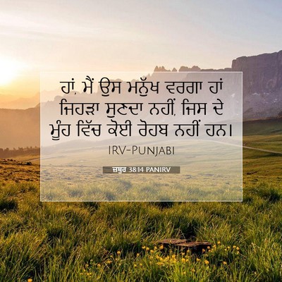 Picture 07 - ਜ਼ਬੂਰ 38:14 PANIRV - ਹਾਂ, ਮੈਂ ਉਸ ਮਨੁੱਖ - Bible Verse Picture