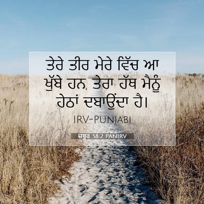 Picture 07 - ਜ਼ਬੂਰ 38:2 PANIRV - ਤੇਰੇ ਤੀਰ ਮੇਰੇ ਵਿੱਚ - Bible Verse Picture