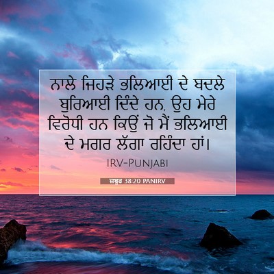 Picture 07 - ਜ਼ਬੂਰ 38:20 PANIRV - ਨਾਲੇ ਜਿਹੜੇ ਭਲਿਆਈ - Bible Verse Picture