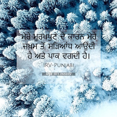Picture 07 - ਜ਼ਬੂਰ 38:5 PANIRV - ਮੇਰੇ ਮੂਰਖਪੁਣੇ ਦੇ - Bible Verse Picture