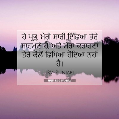 Picture 07 - ਜ਼ਬੂਰ 38:9 PANIRV - ਹੇ ਪ੍ਰਭੂ, ਮੇਰੀ ਸਾਰੀ - Bible Verse Picture