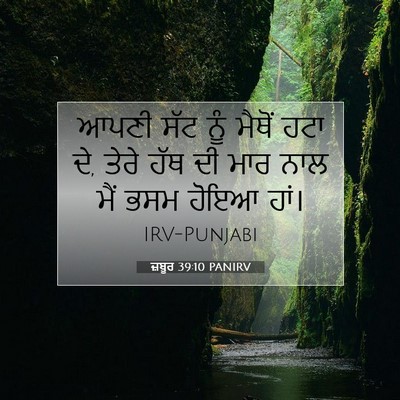 Picture 07 - ਜ਼ਬੂਰ 39:10 PANIRV - ਆਪਣੀ ਸੱਟ ਨੂੰ ਮੈਥੋਂ - Bible Verse Picture