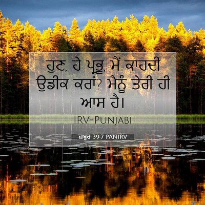 Picture 07 - ਜ਼ਬੂਰ 39:7 PANIRV - ਹੁਣ, ਹੇ ਪ੍ਰਭੂ, ਮੈਂ - Bible Verse Picture