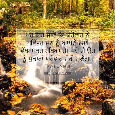 Picture 07 - ਜ਼ਬੂਰ 4:3 PANIRV - ਪਰ ਇਹ ਜਾਣੋ ਕਿ - Bible Verse Picture