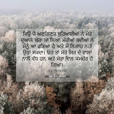 Picture 07 - ਜ਼ਬੂਰ 40:12 PANIRV - ਕਿਉਂ ਜੋ ਅਣਗਿਣਤ - Bible Verse Picture