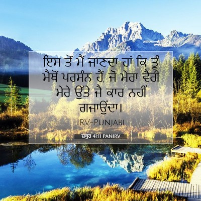 Picture 07 - ਜ਼ਬੂਰ 41:11 PANIRV - ਇਸ ਤੋਂ ਮੈਂ ਜਾਣਦਾ - Bible Verse Picture