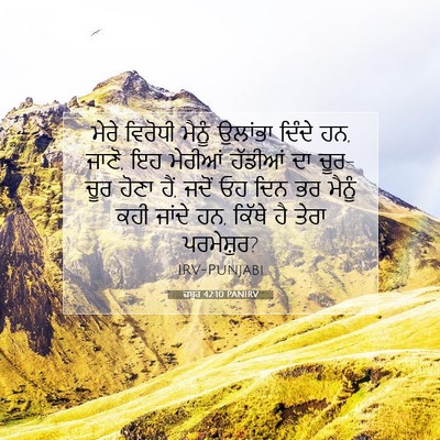 Picture 07 - ਜ਼ਬੂਰ 42:10 PANIRV - ਮੇਰੇ ਵਿਰੋਧੀ ਮੈਨੂੰ - Bible Verse Picture