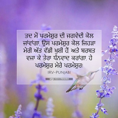 Picture 07 - ਜ਼ਬੂਰ 43:4 PANIRV - ਤਦ ਮੈਂ ਪਰਮੇਸ਼ੁਰ ਦੀ - Bible Verse Picture