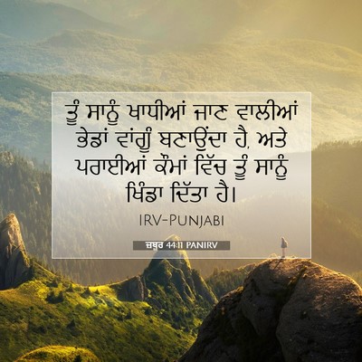 Picture 07 - ਜ਼ਬੂਰ 44:11 PANIRV - ਤੂੰ ਸਾਨੂੰ ਖਾਧੀਆਂ - Bible Verse Picture
