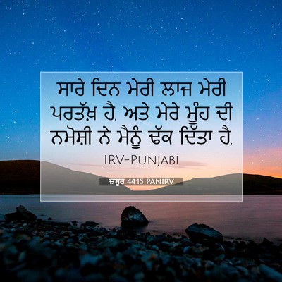 Picture 07 - ਜ਼ਬੂਰ 44:15 PANIRV - ਸਾਰੇ ਦਿਨ ਮੇਰੀ ਲਾਜ - Bible Verse Picture