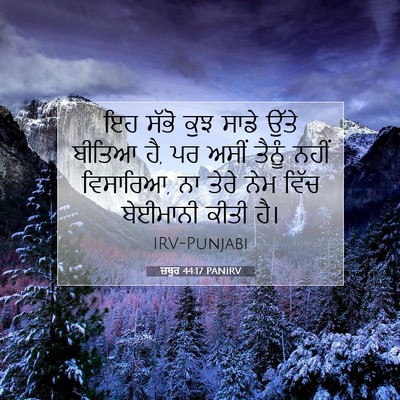 Picture 07 - ਜ਼ਬੂਰ 44:17 PANIRV - ਇਹ ਸੱਭੋ ਕੁਝ ਸਾਡੇ - Bible Verse Picture