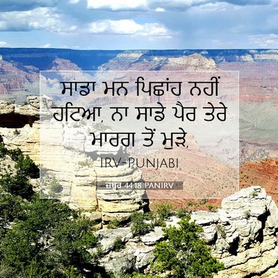Picture 07 - ਜ਼ਬੂਰ 44:18 PANIRV - ਸਾਡਾ ਮਨ ਪਿਛਾਂਹ - Bible Verse Picture
