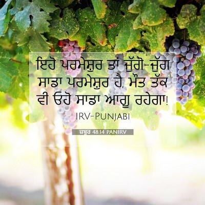 Picture 07 - ਜ਼ਬੂਰ 48:14 PANIRV - ਇਹੋ ਪਰਮੇਸ਼ੁਰ ਤਾਂ - Bible Verse Picture