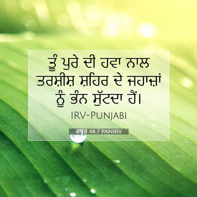 Picture 07 - ਜ਼ਬੂਰ 48:7 PANIRV - ਤੂੰ ਪੁਰੇ ਦੀ ਹਵਾ ਨਾਲ - Bible Verse Picture