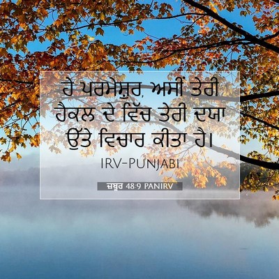 Picture 07 - ਜ਼ਬੂਰ 48:9 PANIRV - ਹੇ ਪਰਮੇਸ਼ੁਰ, ਅਸੀਂ - Bible Verse Picture