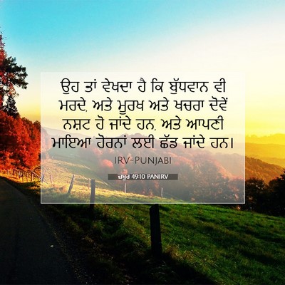 Picture 07 - ਜ਼ਬੂਰ 49:10 PANIRV - ਉਹ ਤਾਂ ਵੇਖਦਾ ਹੈ ਕਿ - Bible Verse Picture