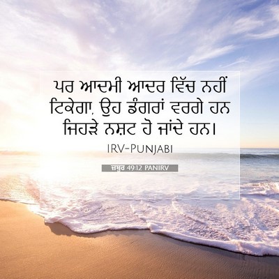 Picture 07 - ਜ਼ਬੂਰ 49:12 PANIRV - ਪਰ ਆਦਮੀ ਆਦਰ ਵਿੱਚ - Bible Verse Picture