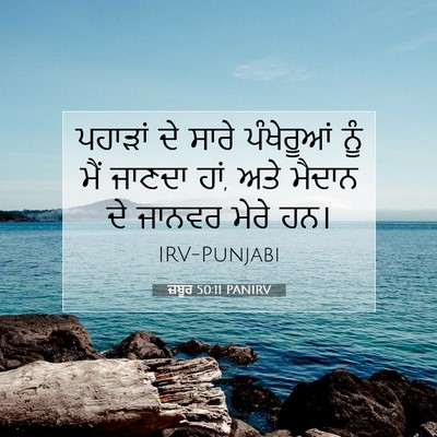 Picture 07 - ਜ਼ਬੂਰ 50:11 PANIRV - ਪਹਾੜਾਂ ਦੇ ਸਾਰੇ - Bible Verse Picture