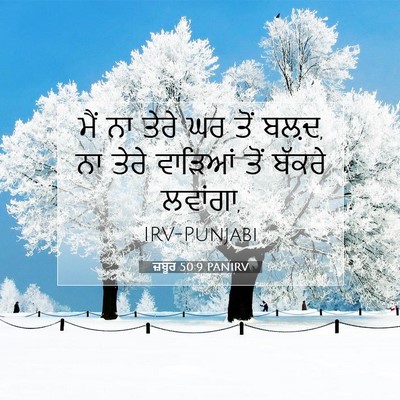 Picture 07 - ਜ਼ਬੂਰ 50:9 PANIRV - ਮੈਂ ਨਾ ਤੇਰੇ ਘਰ ਤੋਂ - Bible Verse Picture