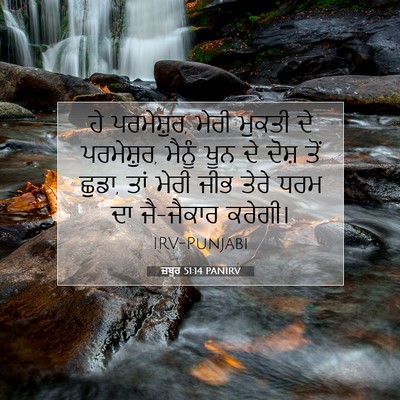 Picture 07 - ਜ਼ਬੂਰ 51:14 PANIRV - ਹੇ ਪਰਮੇਸ਼ੁਰ, ਮੇਰੀ - Bible Verse Picture