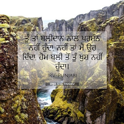 Picture 07 - ਜ਼ਬੂਰ 51:16 PANIRV - ਤੂੰ ਤਾਂ ਬਲੀਦਾਨ ਨਾਲ - Bible Verse Picture