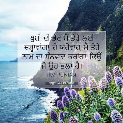 Picture 07 - ਜ਼ਬੂਰ 54:6 PANIRV - ਖੁਸ਼ੀ ਦੀ ਭੇਟ ਮੈਂ - Bible Verse Picture