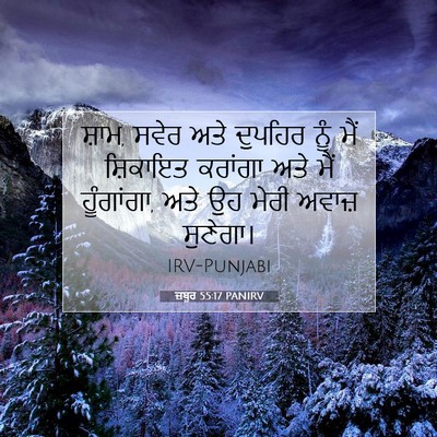 Picture 07 - ਜ਼ਬੂਰ 55:17 PANIRV - ਸ਼ਾਮ, ਸਵੇਰ ਅਤੇ - Bible Verse Picture