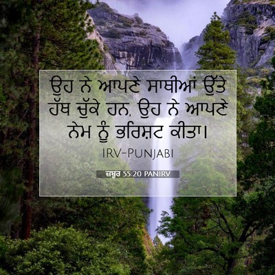 Picture 07 - ਜ਼ਬੂਰ 55:20 PANIRV - ਉਹ ਨੇ ਆਪਣੇ ਸਾਥੀਆਂ - Bible Verse Picture