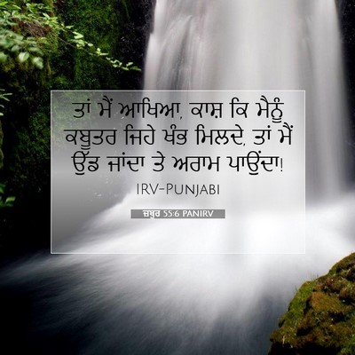 Picture 07 - ਜ਼ਬੂਰ 55:6 PANIRV - ਤਾਂ ਮੈਂ ਆਖਿਆ, ਕਾਸ਼ - Bible Verse Picture