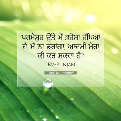 Picture 07 - ਜ਼ਬੂਰ 56:11 PANIRV - ਪਰਮੇਸ਼ੁਰ ਉੱਤੇ ਮੈਂ - Bible Verse Picture